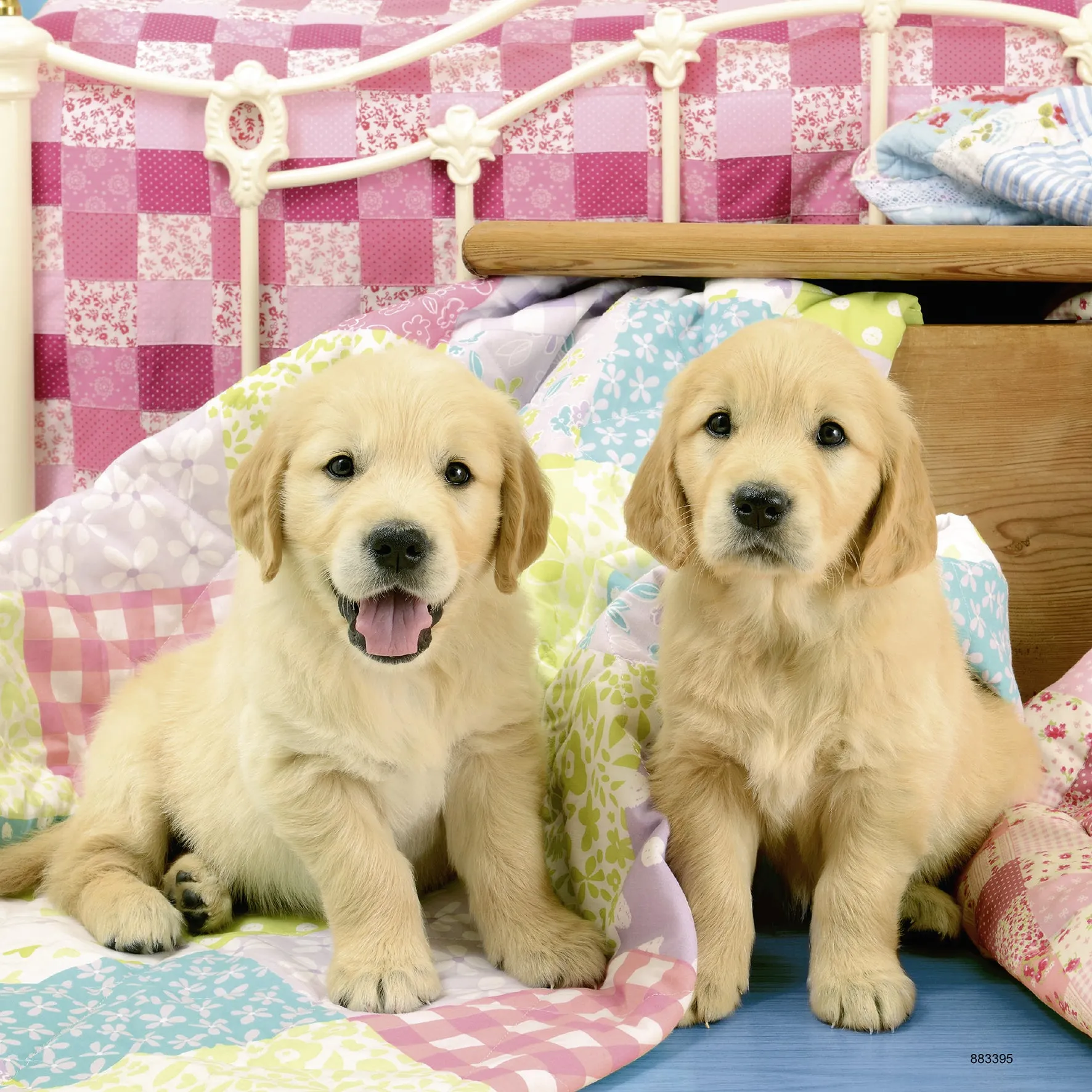 3 x 49 pc Puzzle - Cute Puppy Dogs