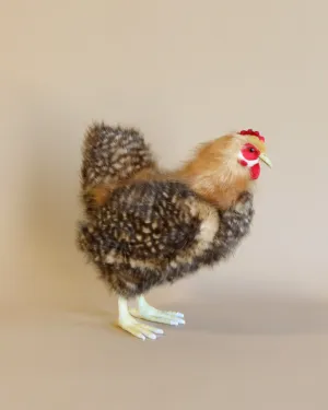 Brown Hen Stuffed Animal