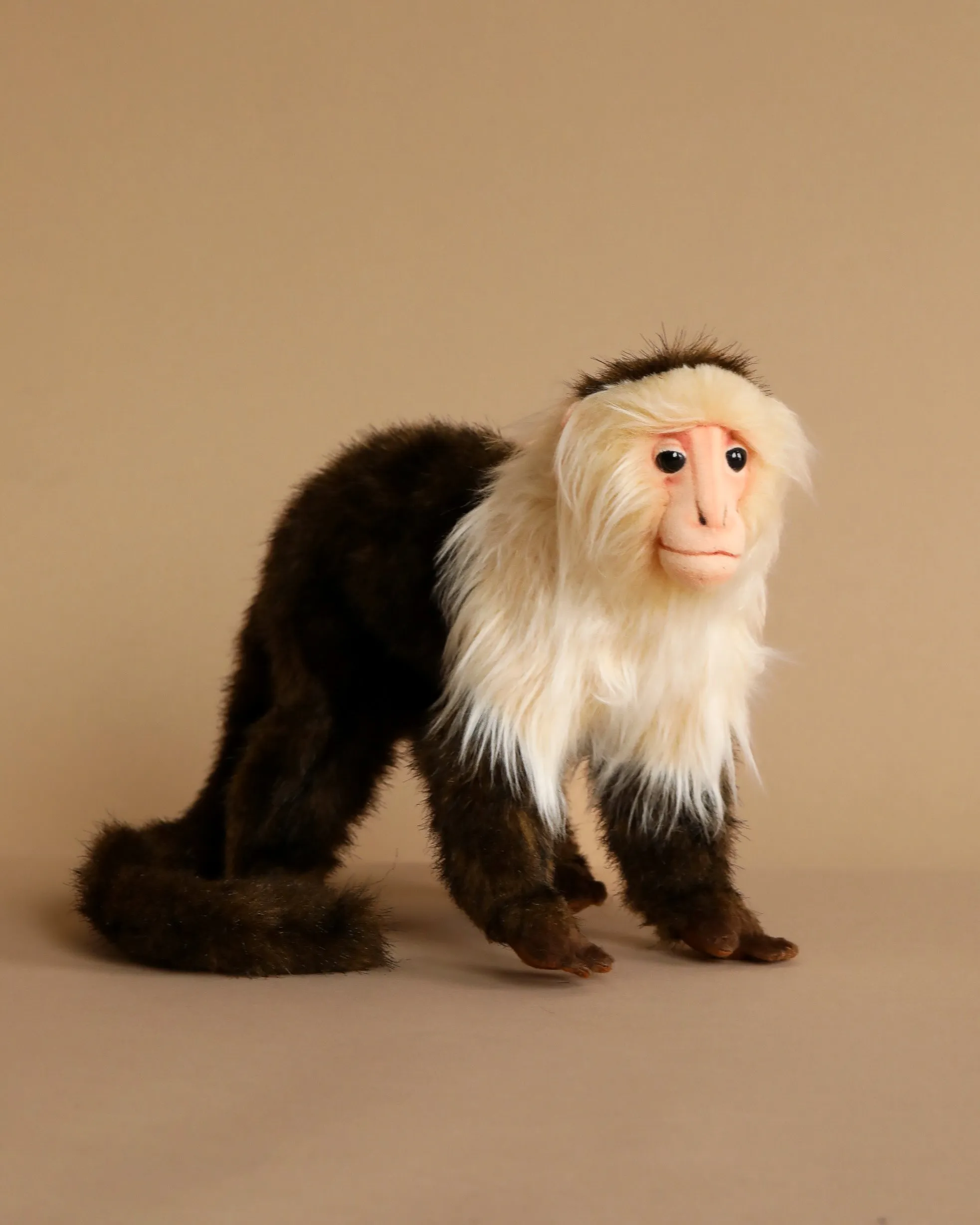 Capuchin Monkey Stuffed Animal