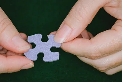 Puzzle Library (1796pz) - 1000 Piece Jigsaw Puzzle